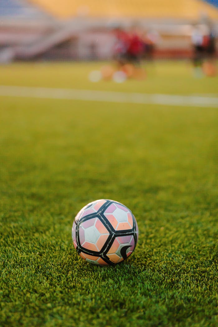 Soccer ball resting on a lush green field during a day match.